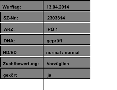Wurftag:                    13.04.2014 SZ-Nr.:                       2303814                                          AKZ:                         IPO 1                                           DNA:                         geprüft                          HD/ED                       normal / normal Zuchtbewertung:      Vorzüglich  gekört                        ja